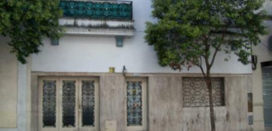 Salmun Feijoo, Jose Aaron  al 1000