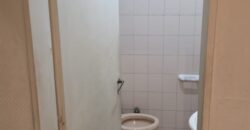 Curapaligue al 100