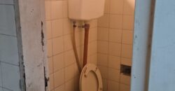 Cobo al 1300