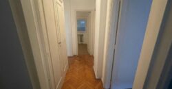 Gallo al 1600